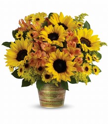 Grand Sunshine Bouquet from Westbury Floral Designs in Westbury, NY